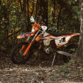 ForestKTM