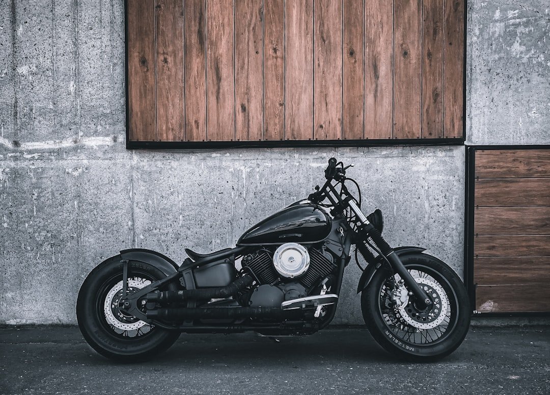 Custom Custom Bobber