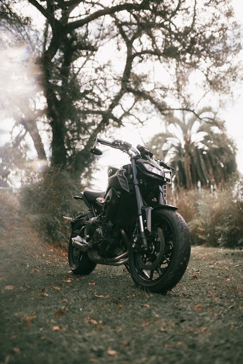 Yamaha MT-09 2023