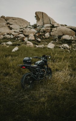 Kawasaki W800 2022