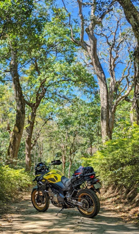 Suzuki V-Strom 650 XT 2022