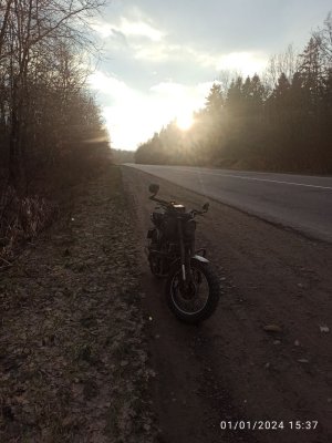 Geon Scrambler 250 2023