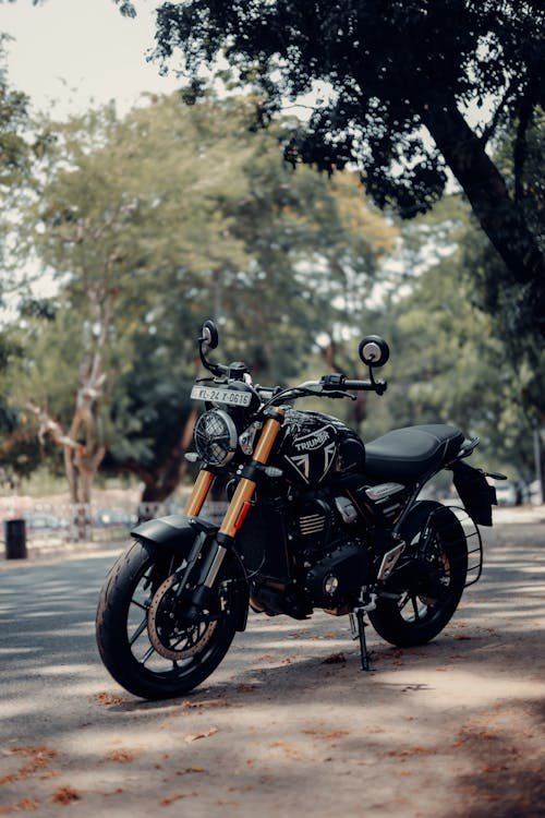 Triumph Speed 400 2024