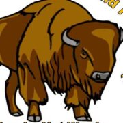 Toledo Buffalo Soldiers MC