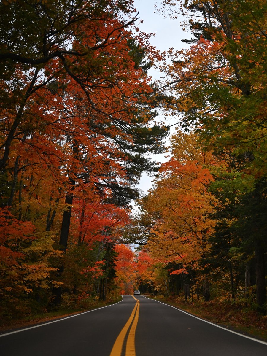 River Road before the leaves quit