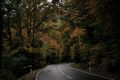 Runter durch den Wald, nass von der Nacht und kein Mensch unterwegs.