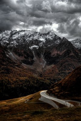 Oberhalb von Haggen. Vor zwei Wochen ein gelber Stich, jetzt brennt der ganze Hang. Am Nachmittag haben sich ueber dem Kamm die Wolken gestaut.
