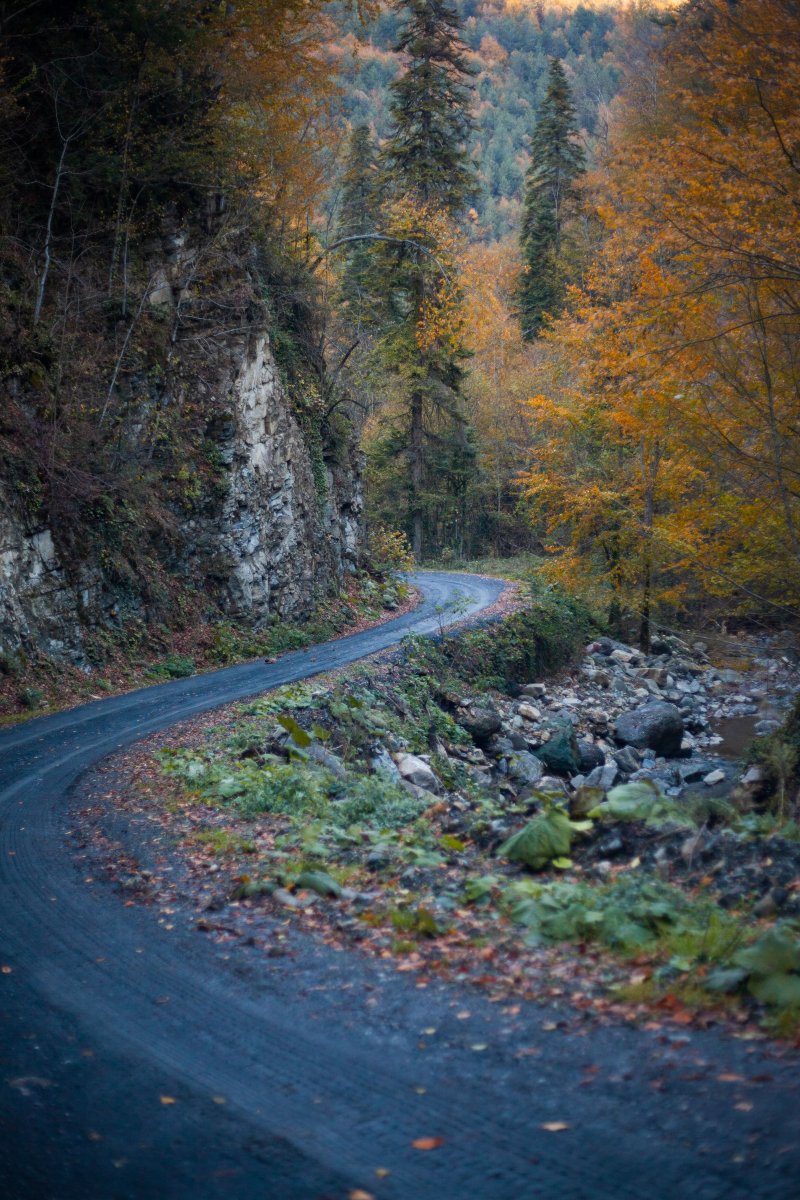Sabado inteiro na estrada
