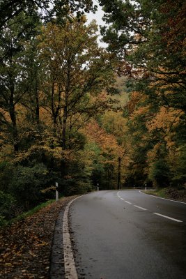 Hinter Lindlar wurde es heller, und trotzdem bestand die halbe Fahrt daraus, früher zu bremsen als nötig.