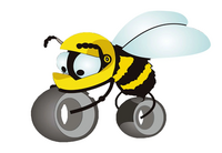 Tommy Bee Motorcycle Training