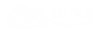 Duke Motorcycle