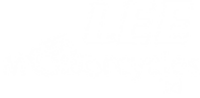 Lee Motorcycles