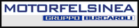 Motorfelsinea