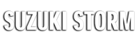 Suzuki Storm